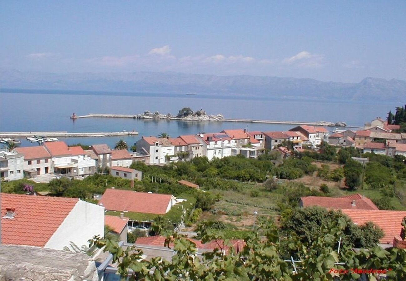 Apartment Vido 102831-A1