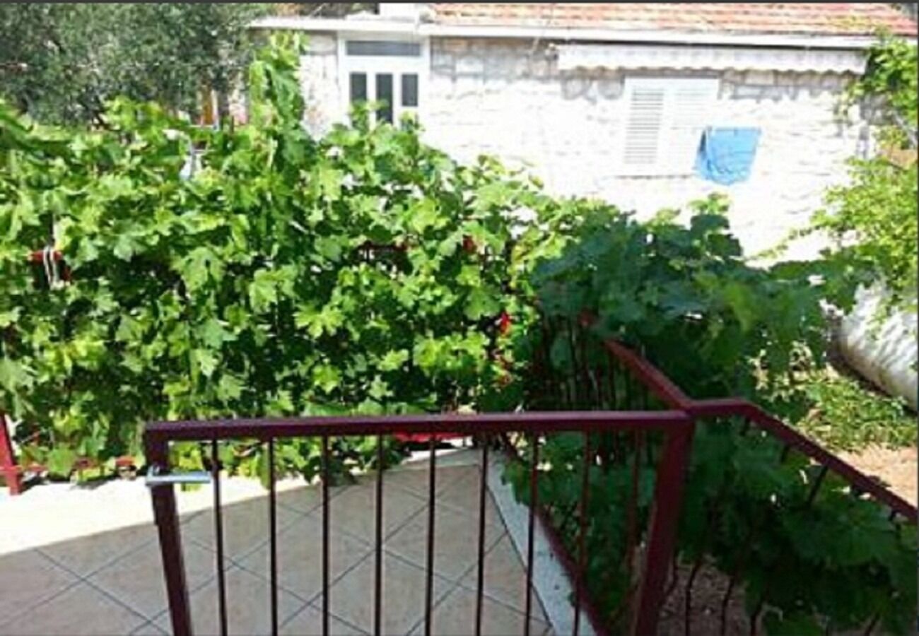 Apartment Vido 102831-A1