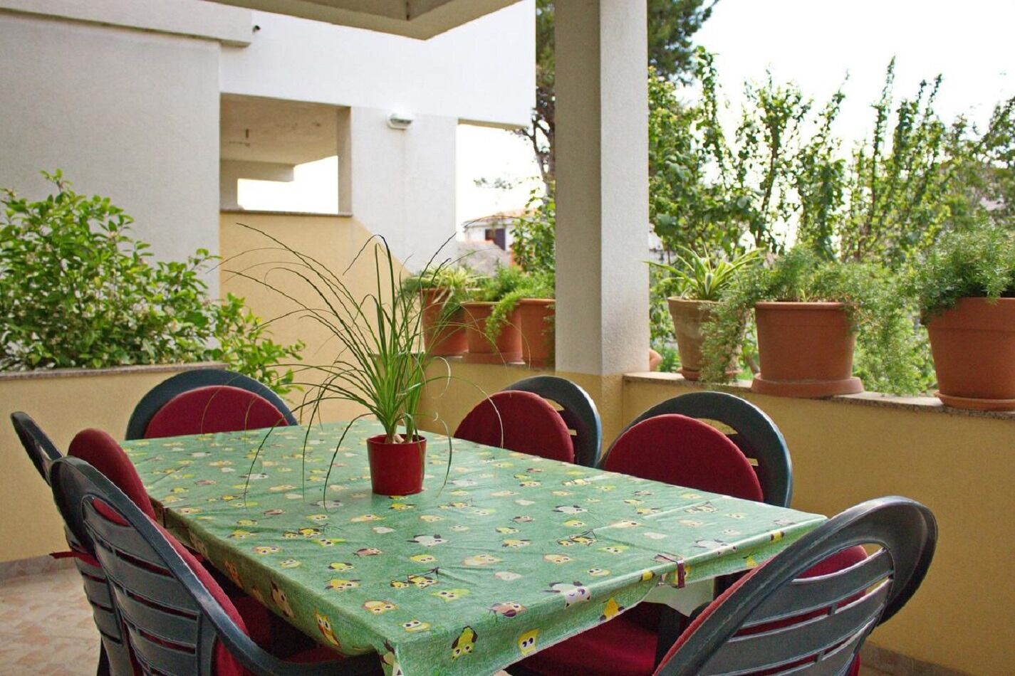 Apartment Dita 102851-A1