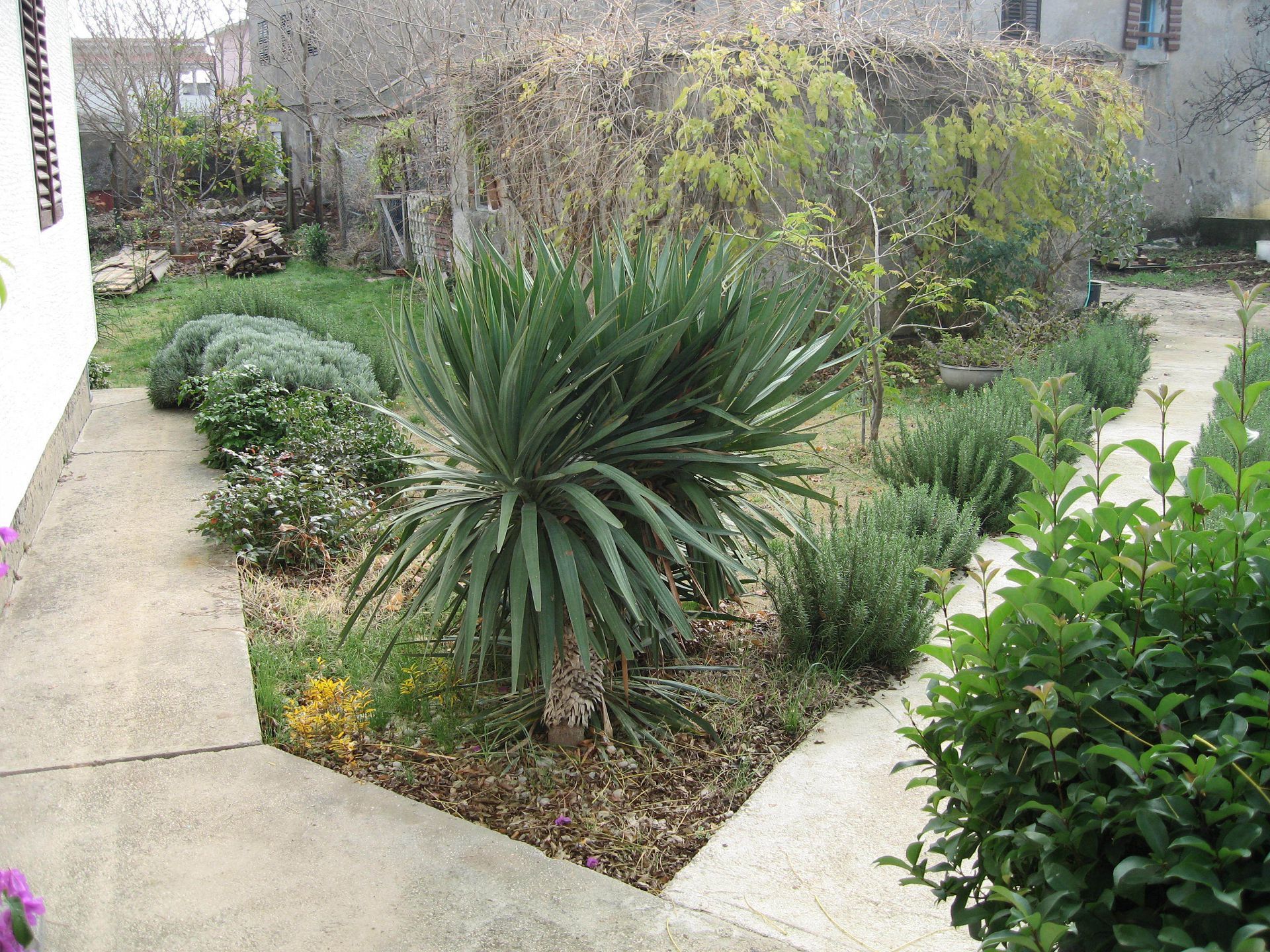 Photo of Apartment Dita