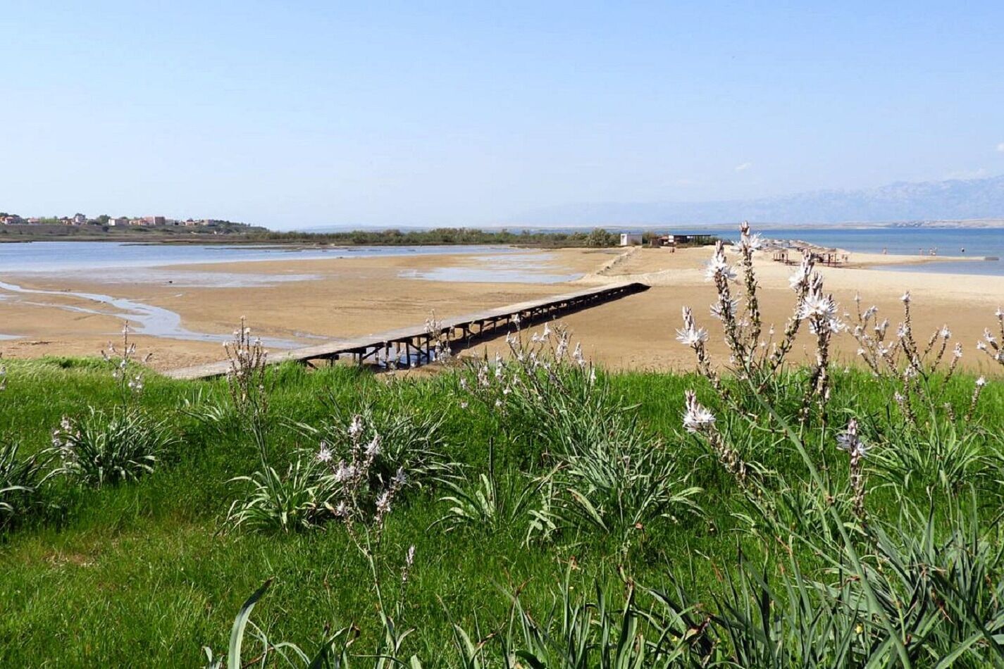 Photo of Apartment Dita