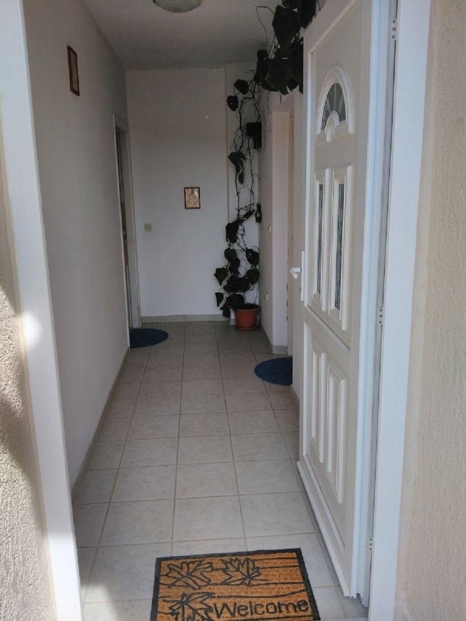 Apartment Davor 102901-A3