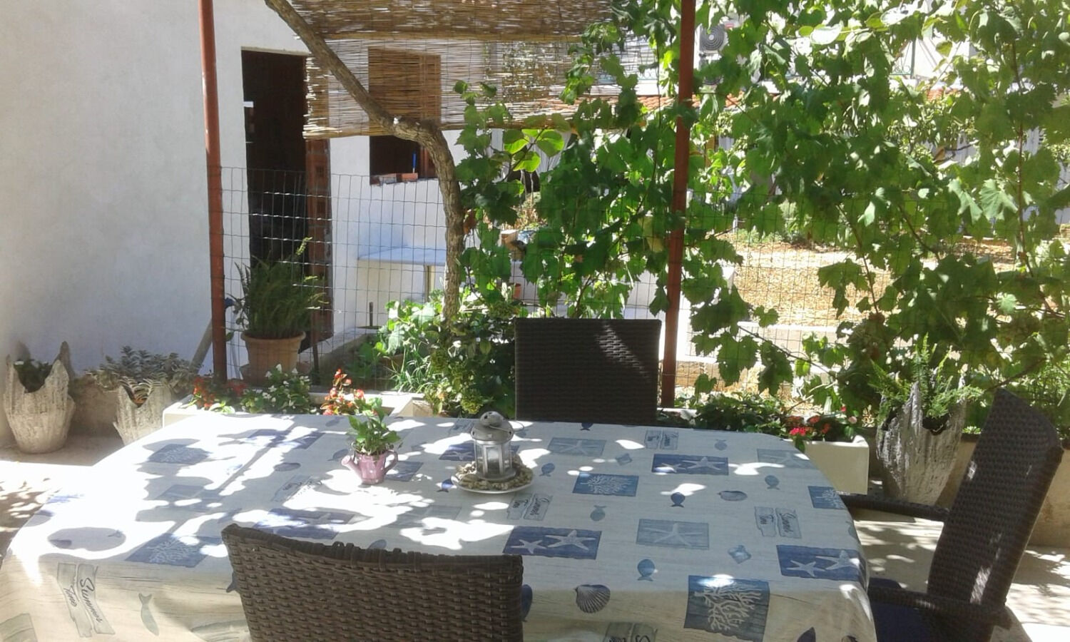 Apartments Marija 102921-A2