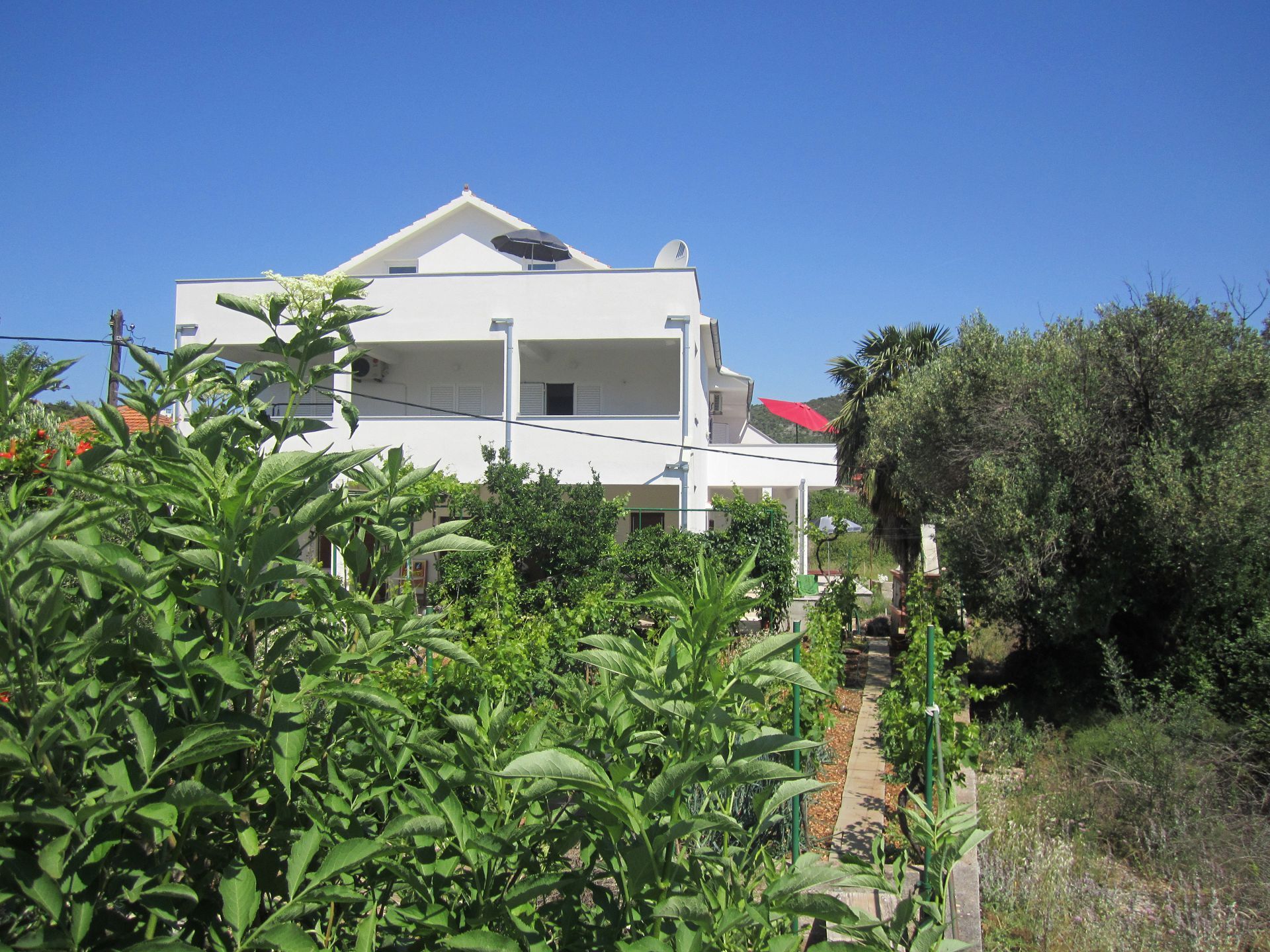 Apartments Deni 102951-A1