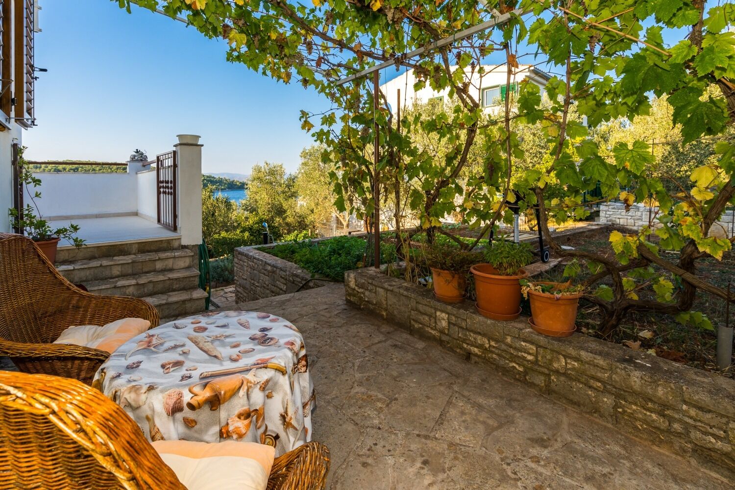 Apartment Mirja 102961-A1