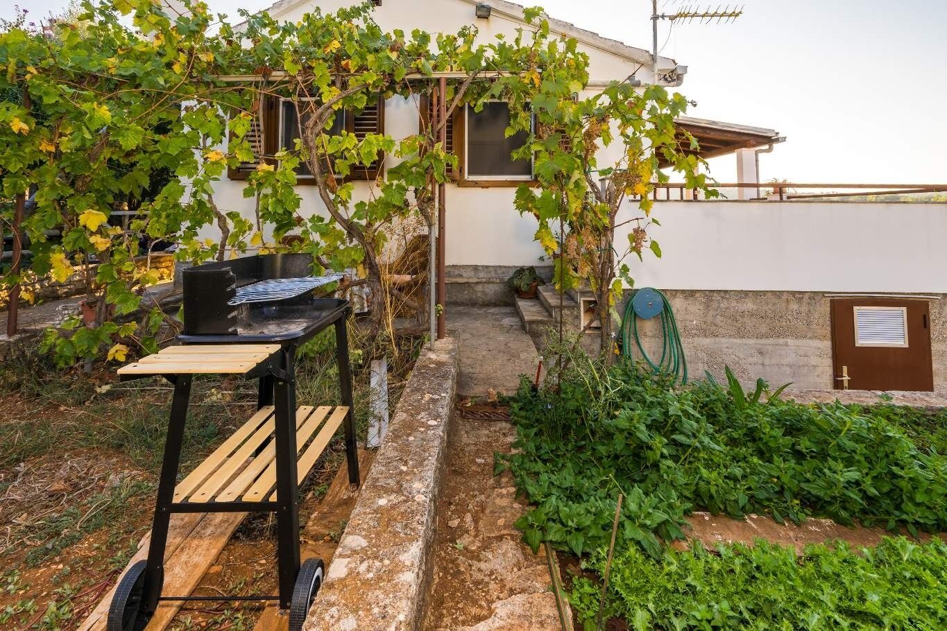 Apartment Mirja 102961-A1