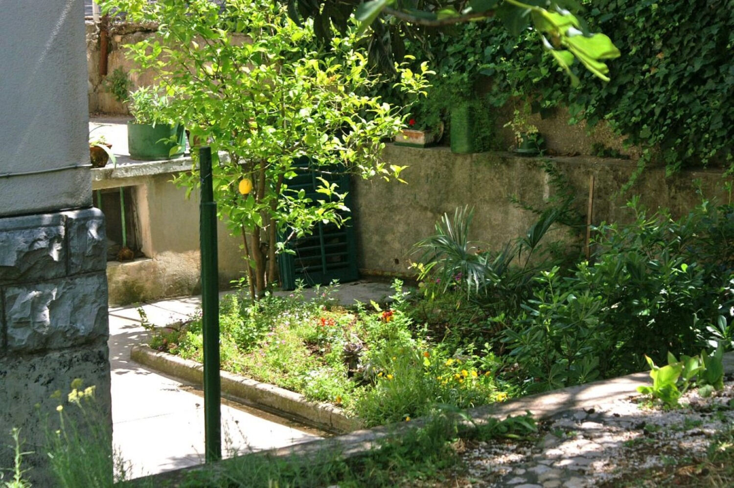 Photo of Apartment Brane