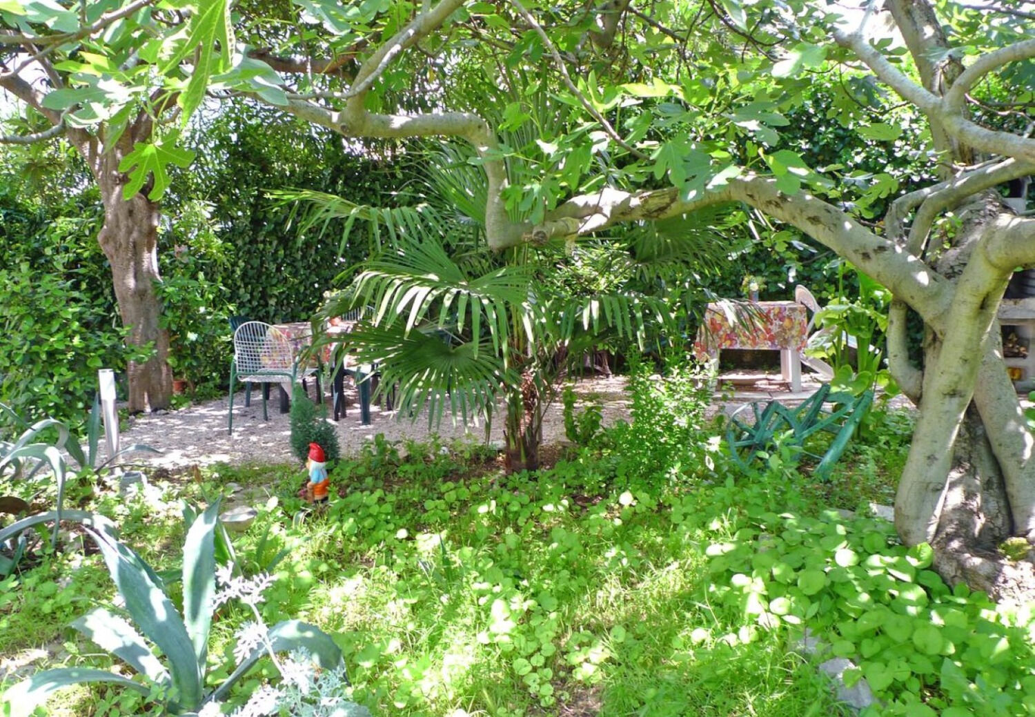 Photo of Apartment Brane