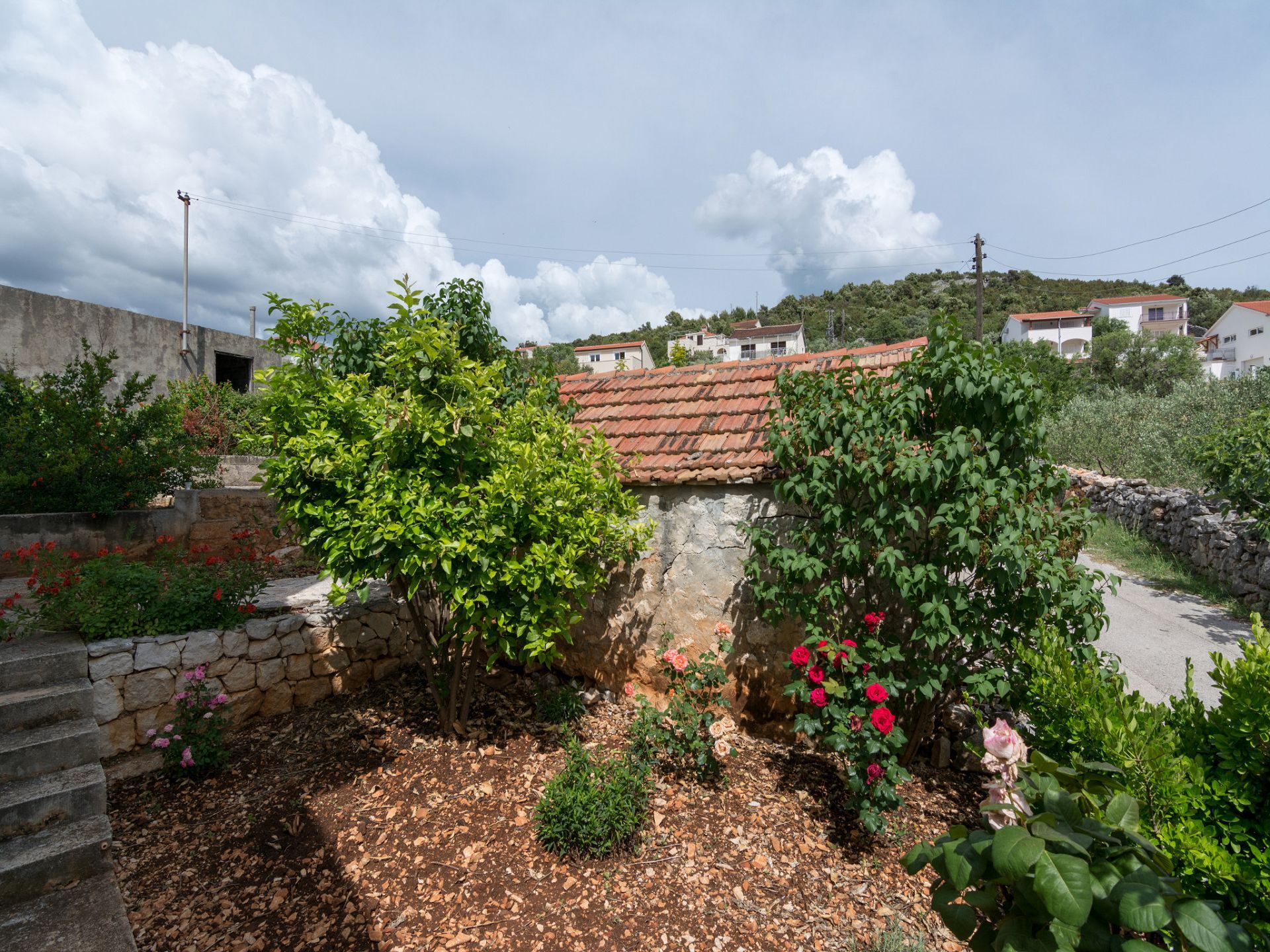 Apartments Miranda 103041-A1