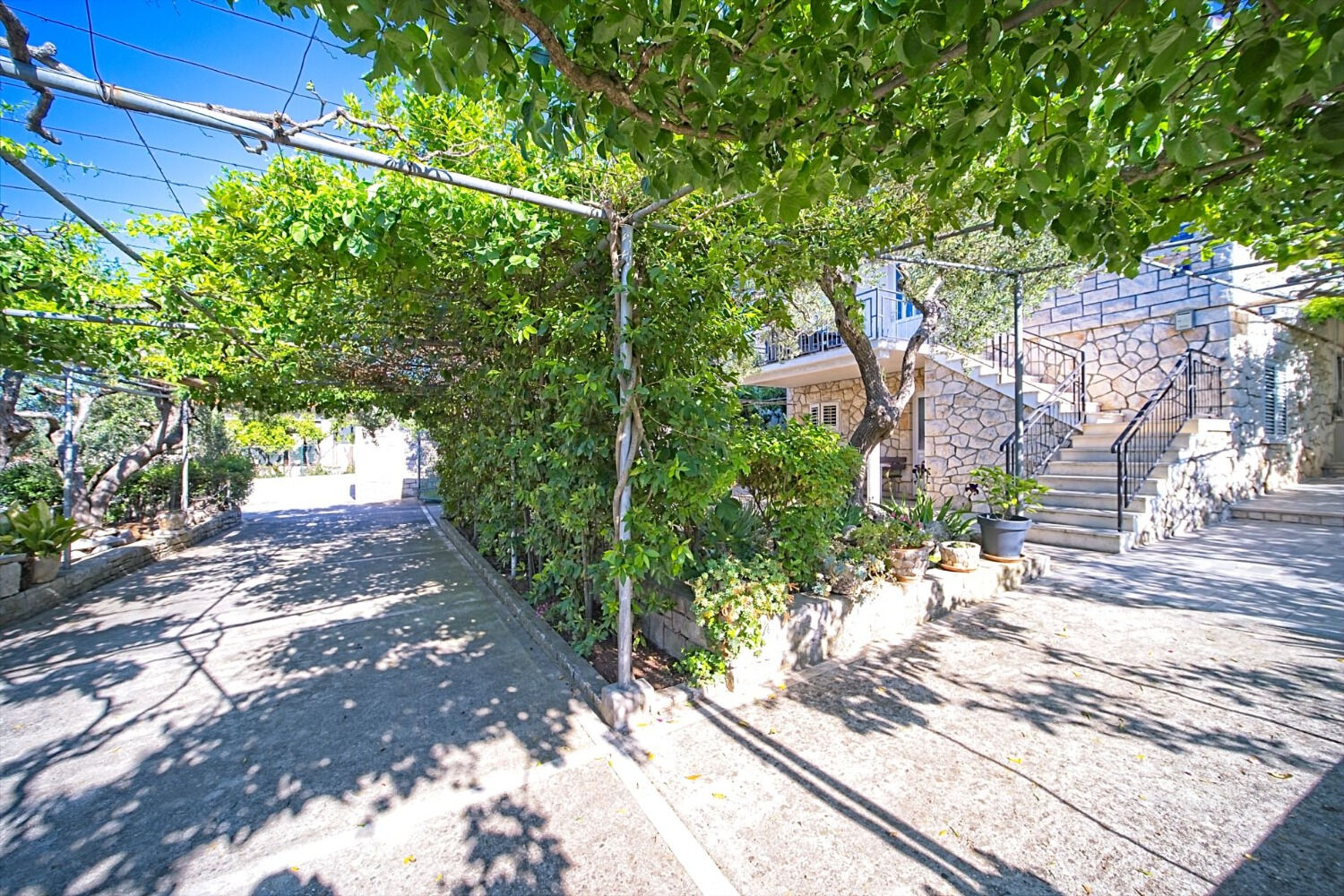 Apartment Pavo 103081-A1