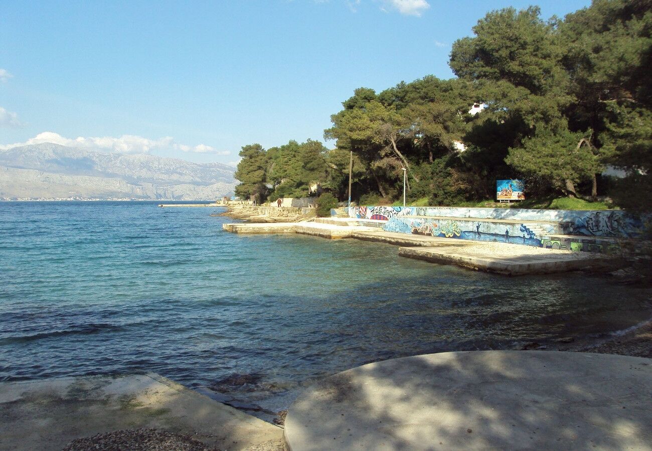 Apartment Pavo 103081-A1