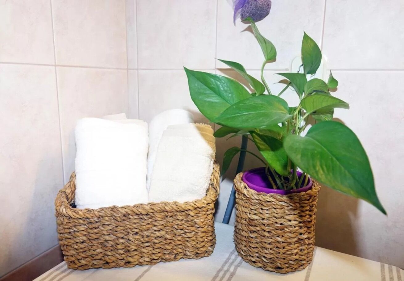 Apartment Ljubav 103111-A1