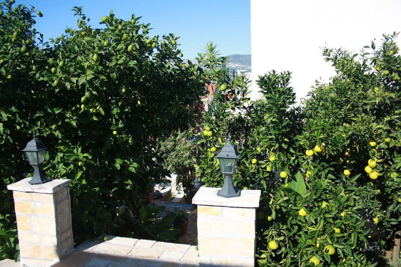 Apartments Anda 10324-A3