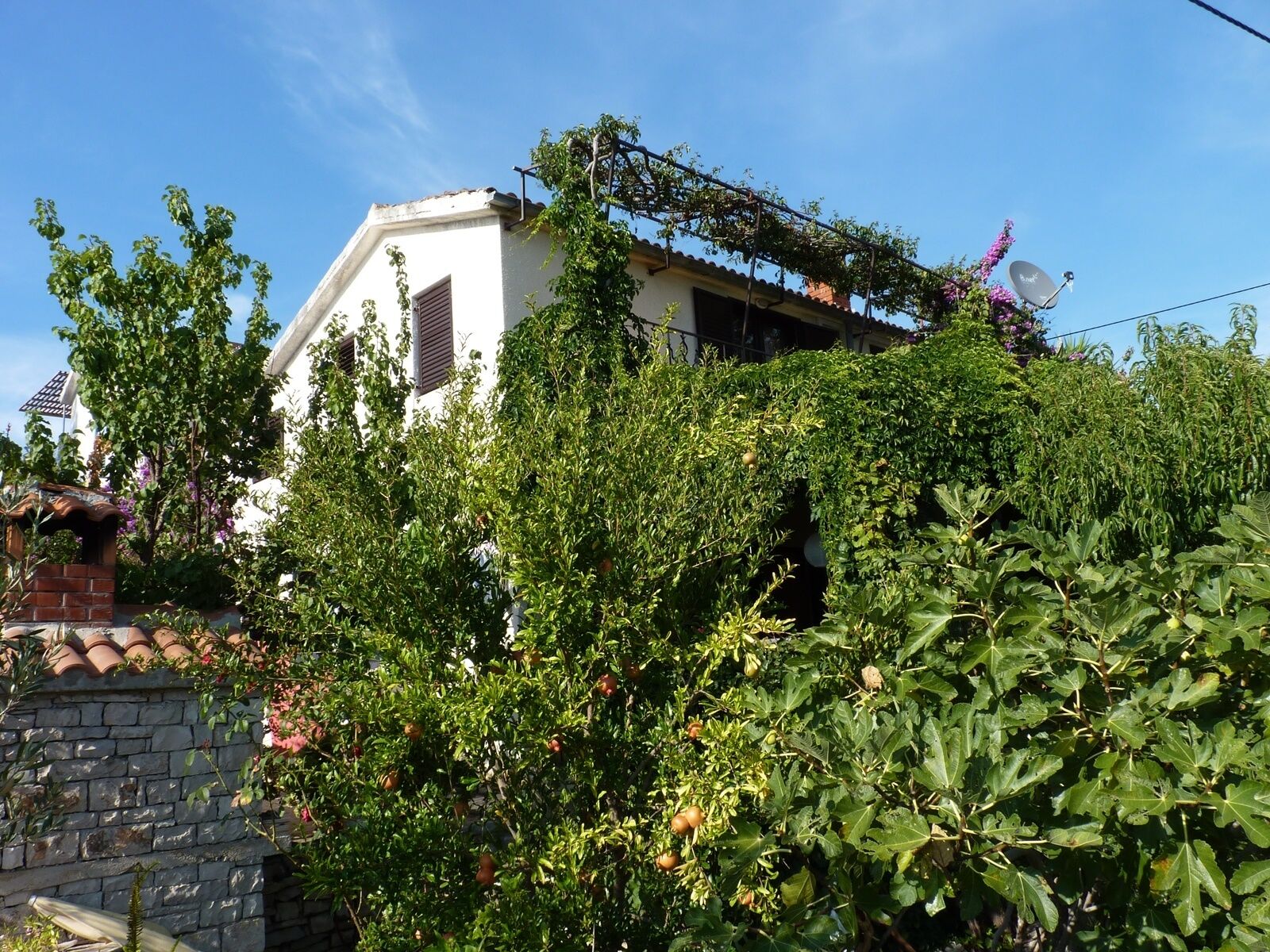 Apartment Željko 10328-A1
