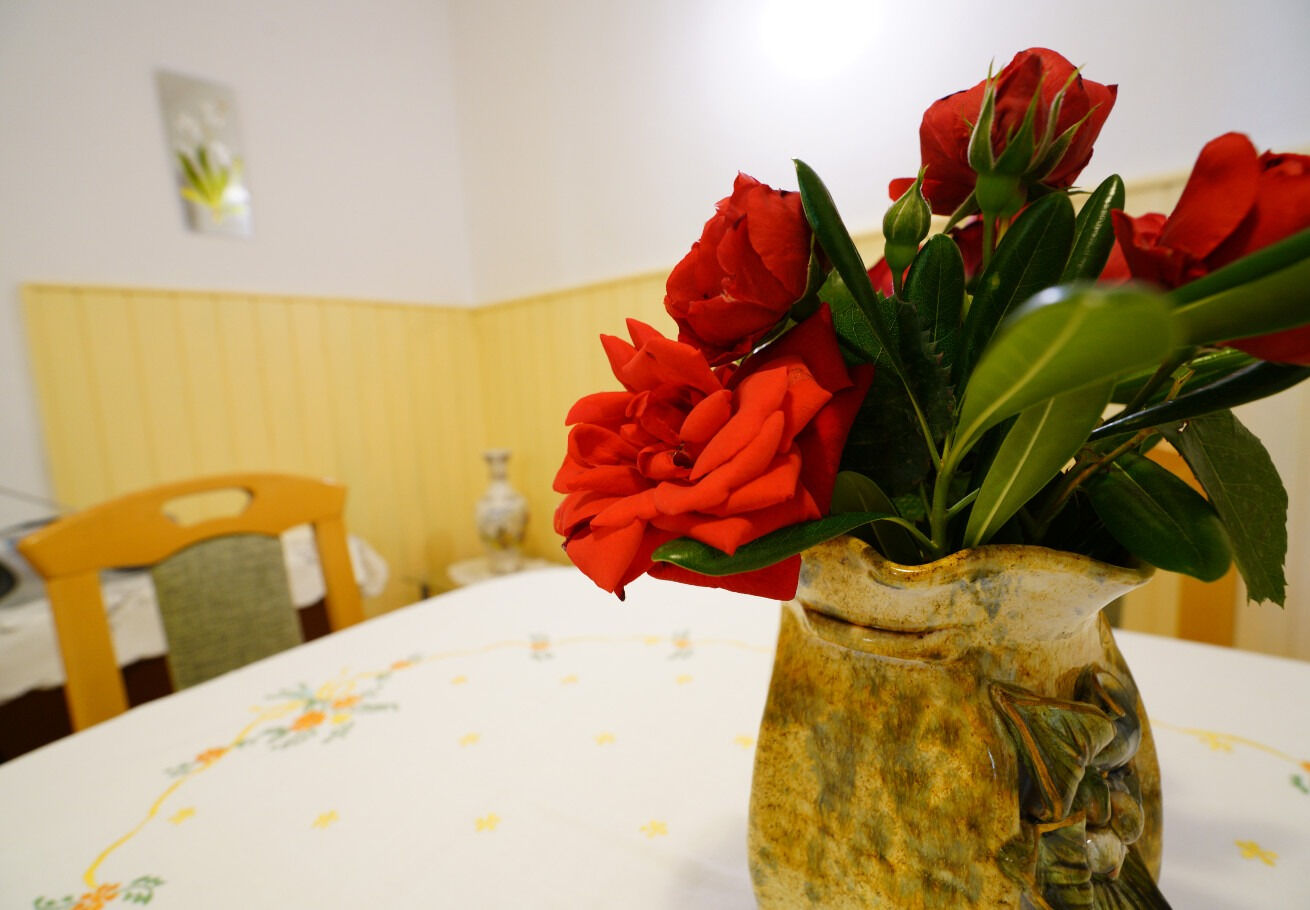 Apartment Marija 103271-A1