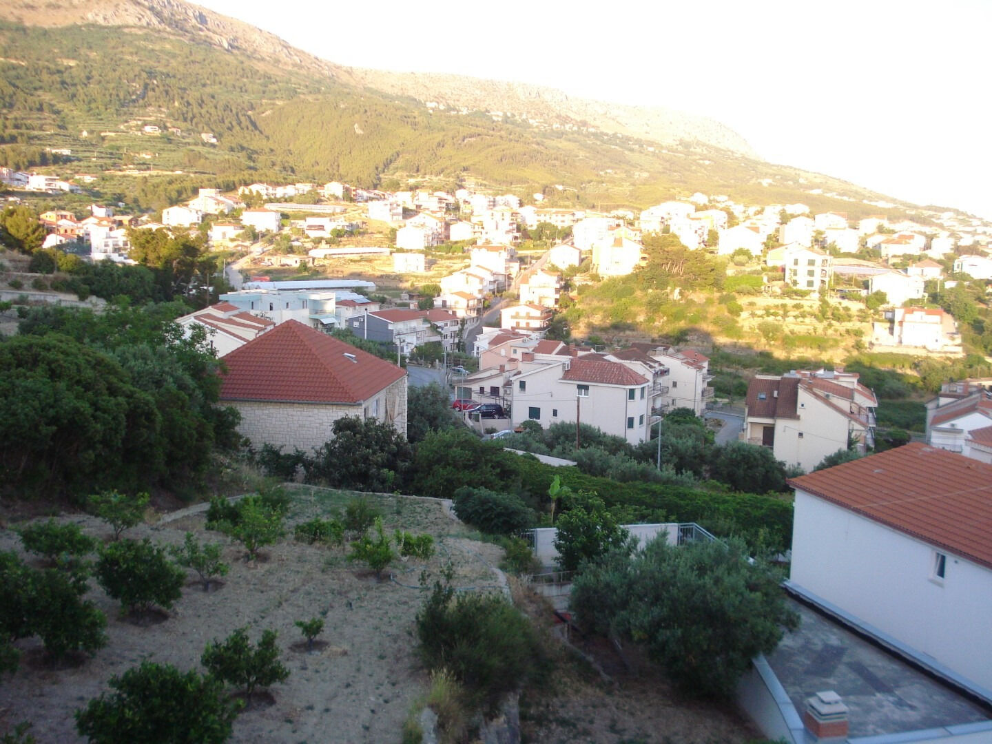Apartment Marija 103271-A2