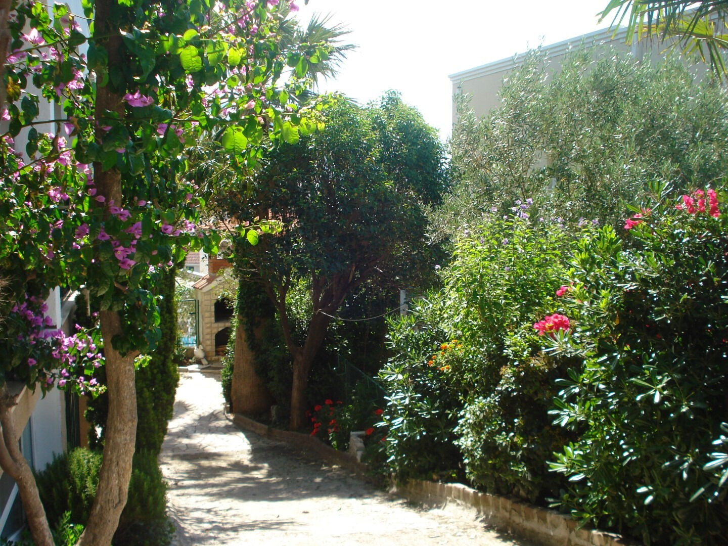 Apartment Marija 103271-A2