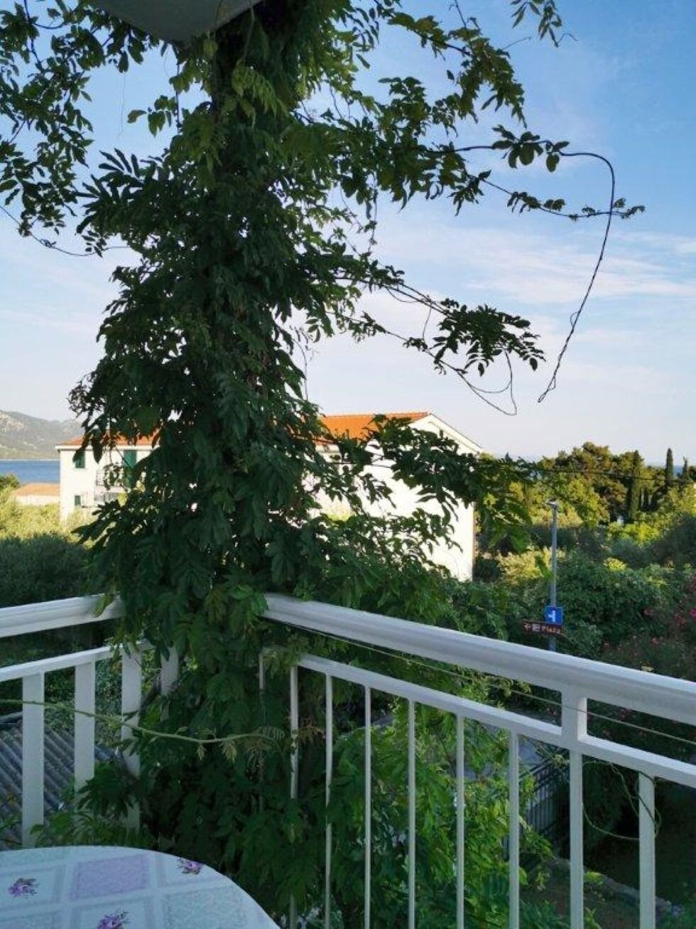 Apartments Jaki 103281-A1