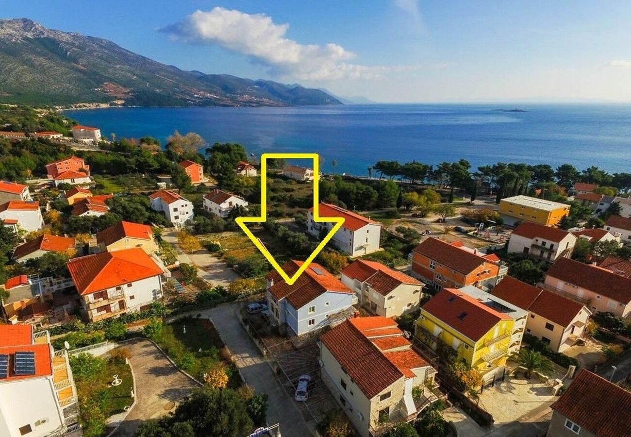 Apartments Jaki 103281-A5