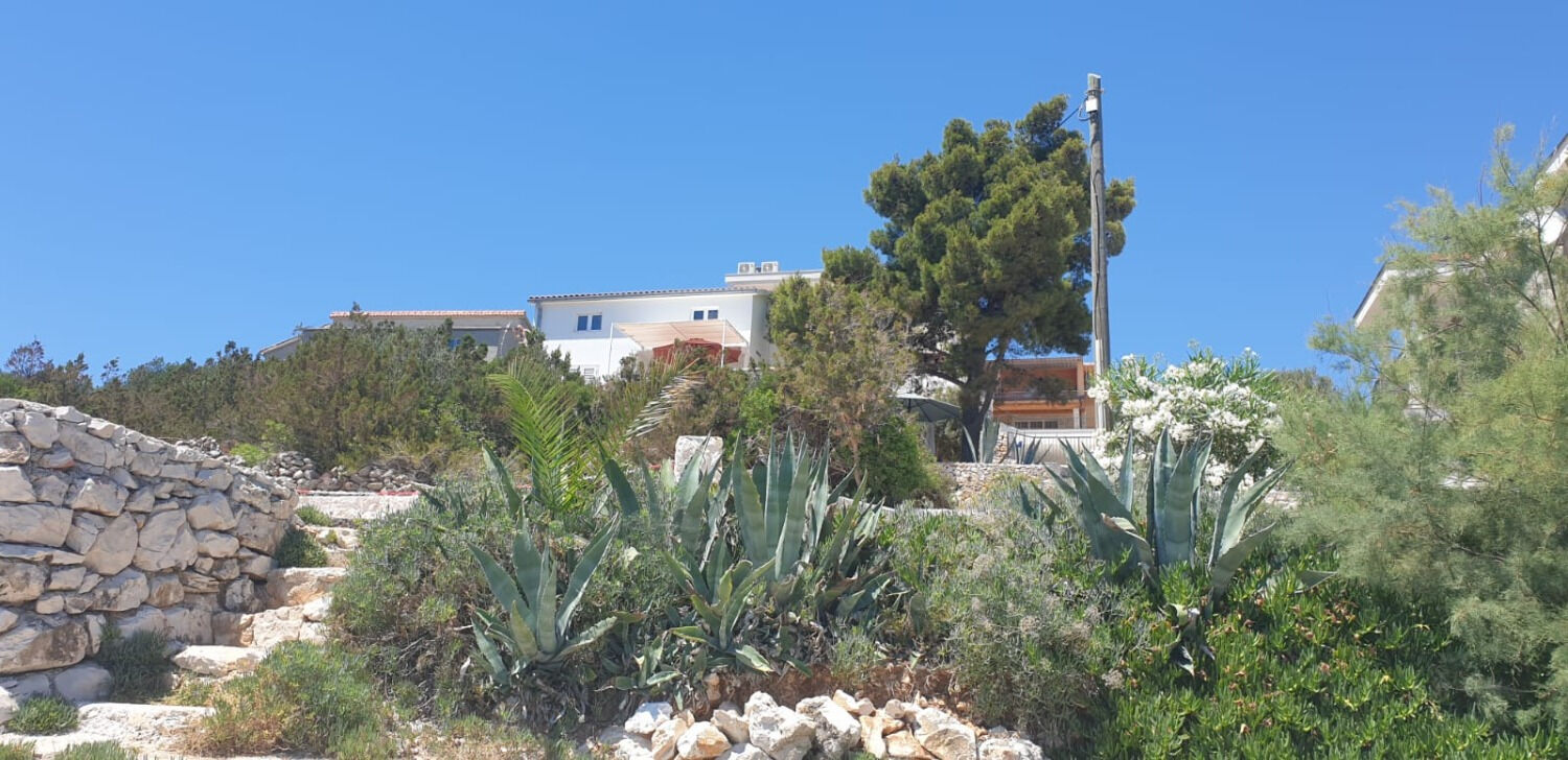 Apartment Natad 103551-A1