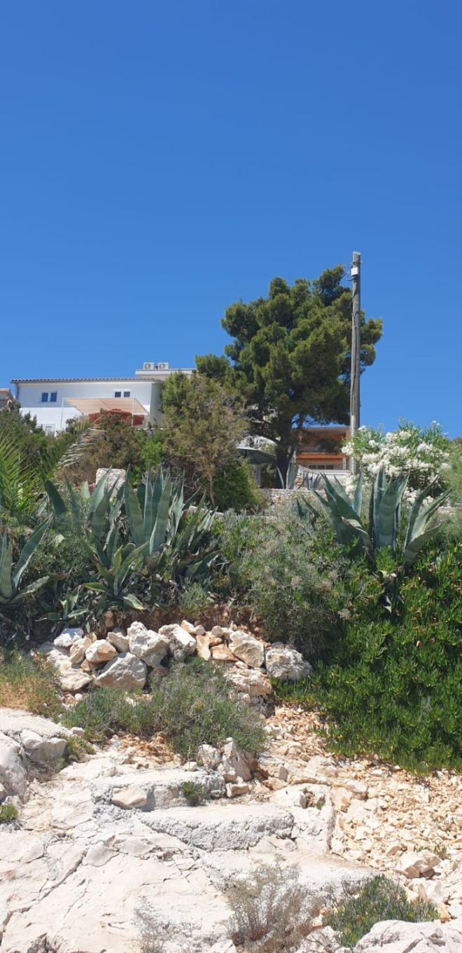 Apartment Natad 103551-A1