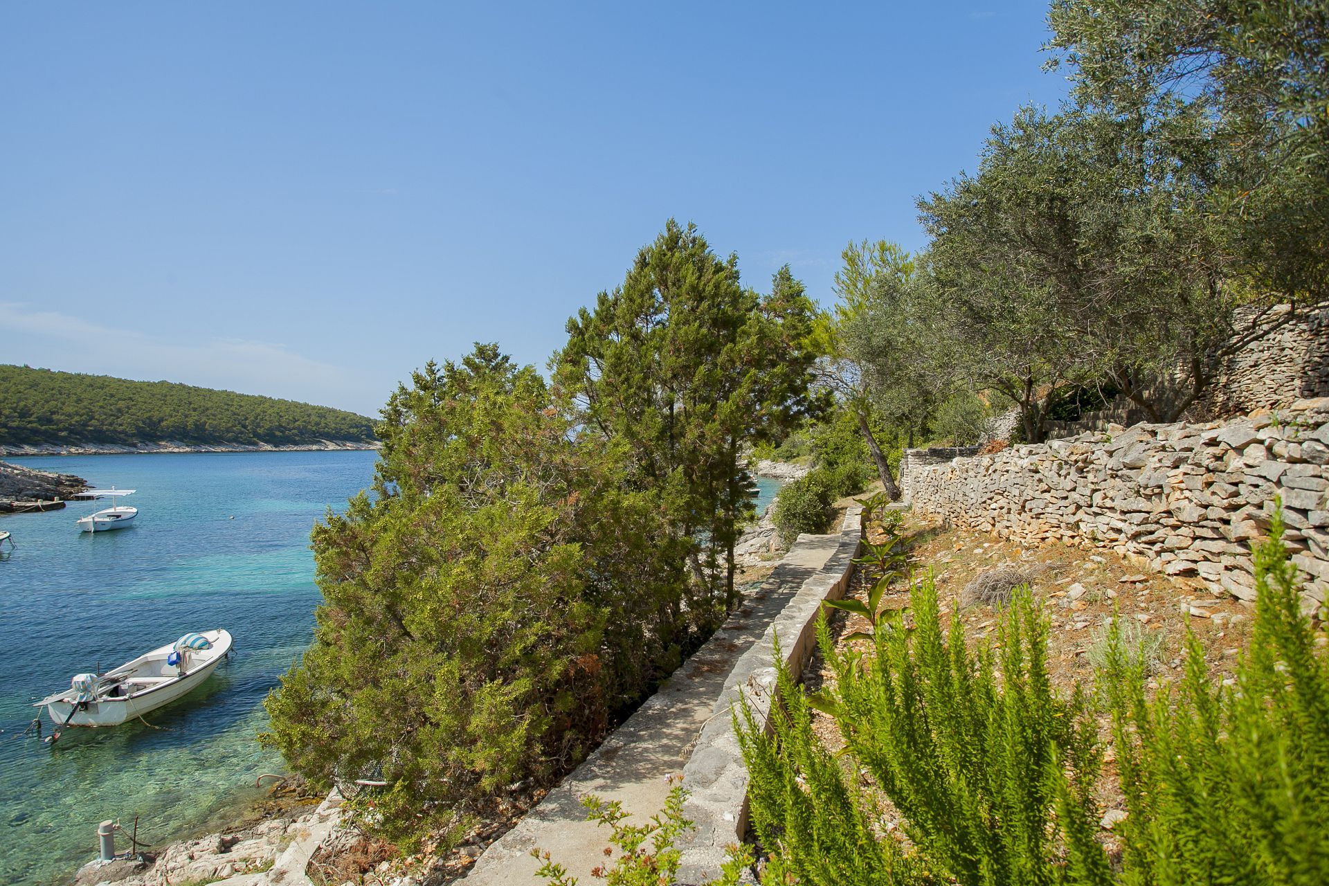 Photo of House Villa Bistrana