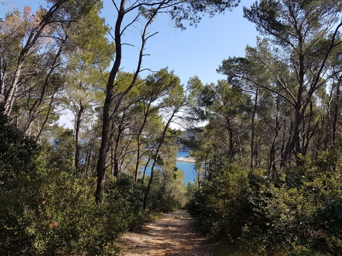 Photo of House Villa Bistrana