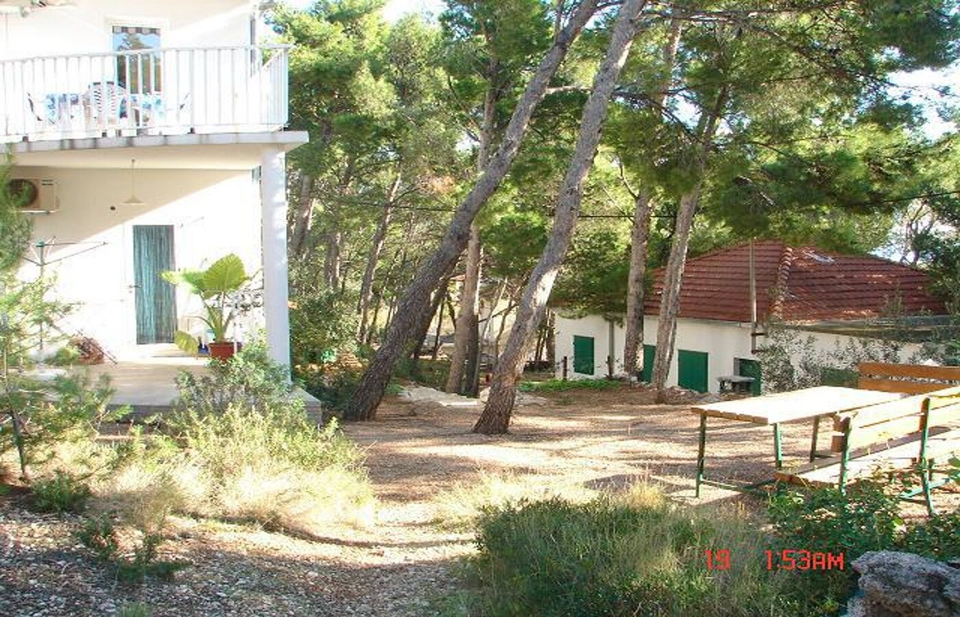 Apartments Dijana 103711-A1