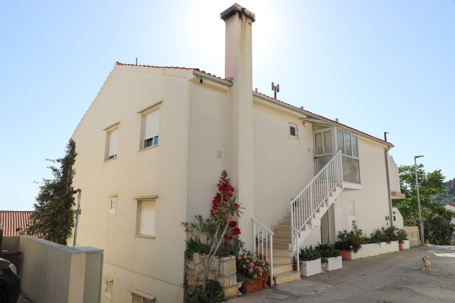 Apartment and Rooms Marlene 103731-A1