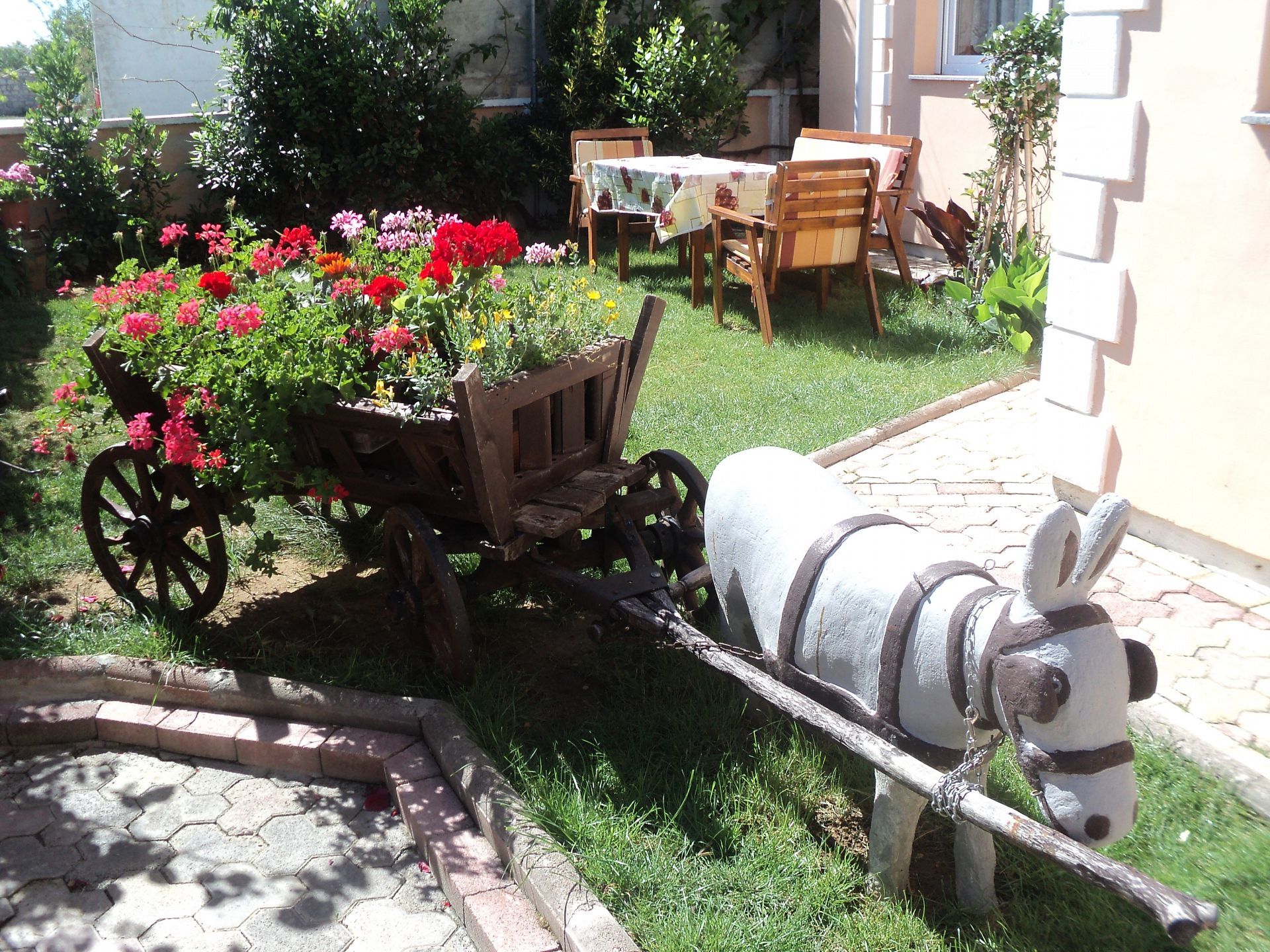 Photo of Apartments Dreamy