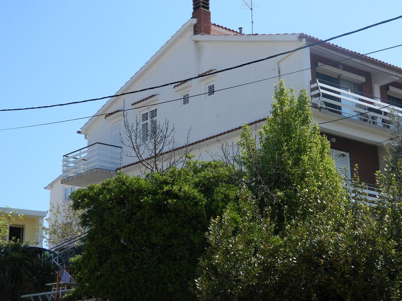 Apartment Gold 103851-A1