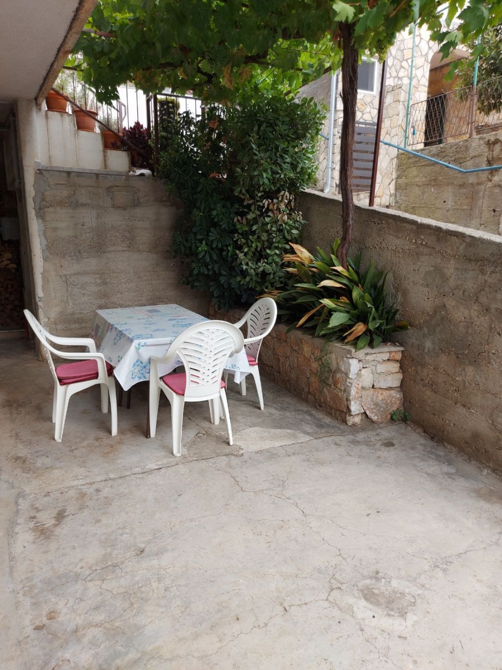 Apartment Bila 103881-A1