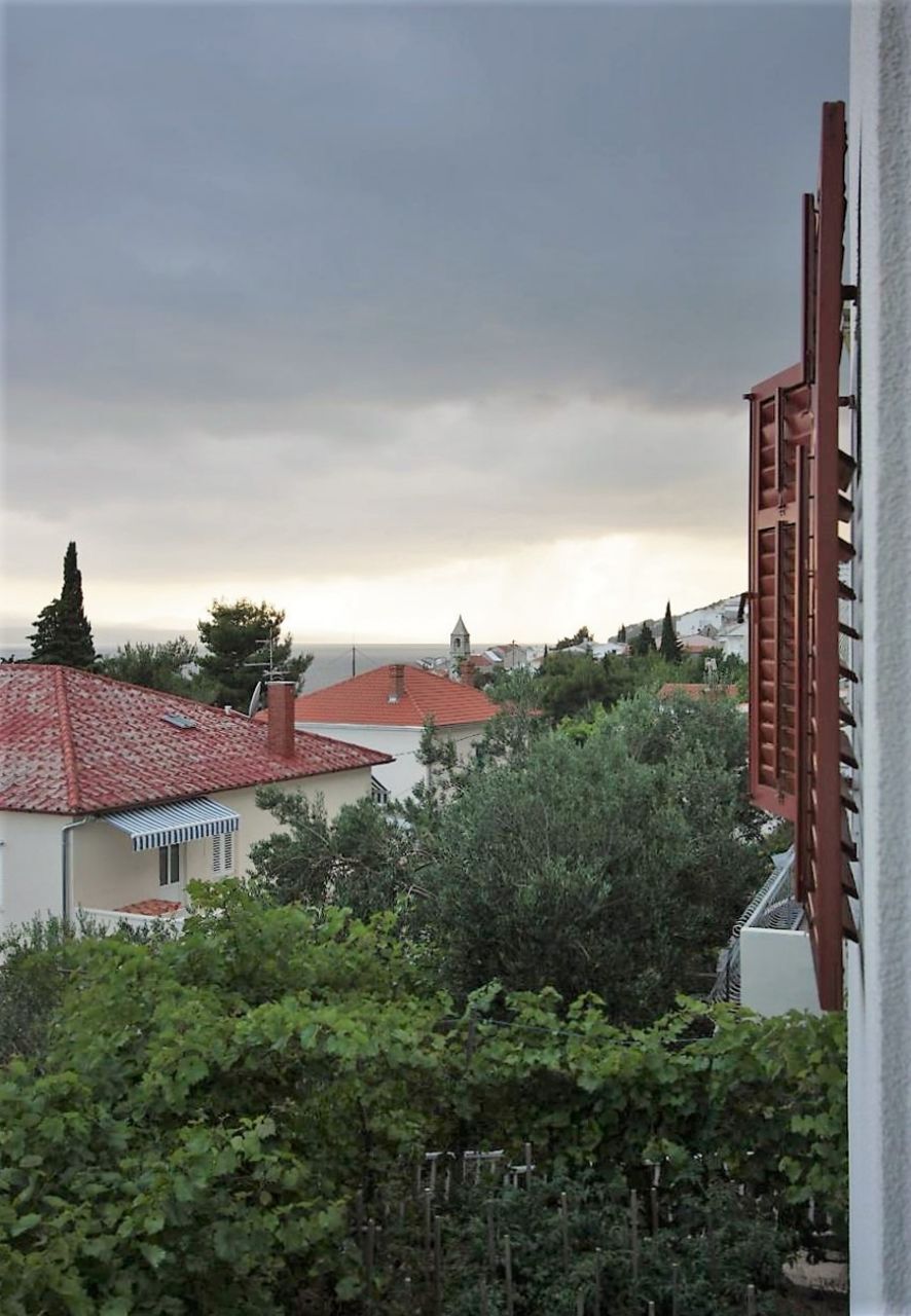 Apartment Šera 103891-A2