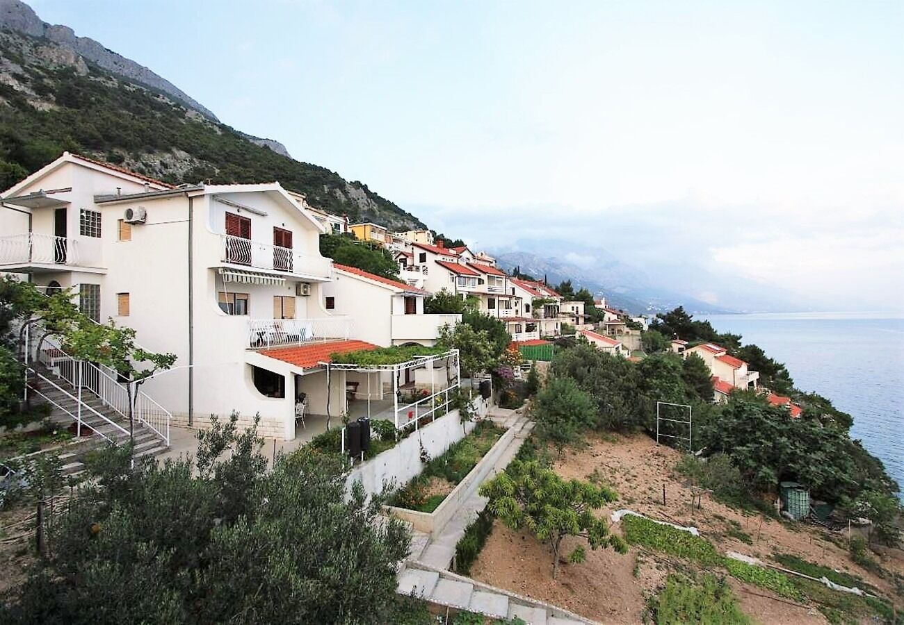 Apartment Šera 103891-A2