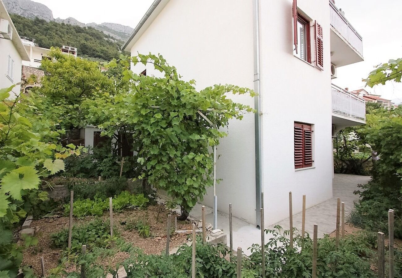 Apartment Šera 103891-A2