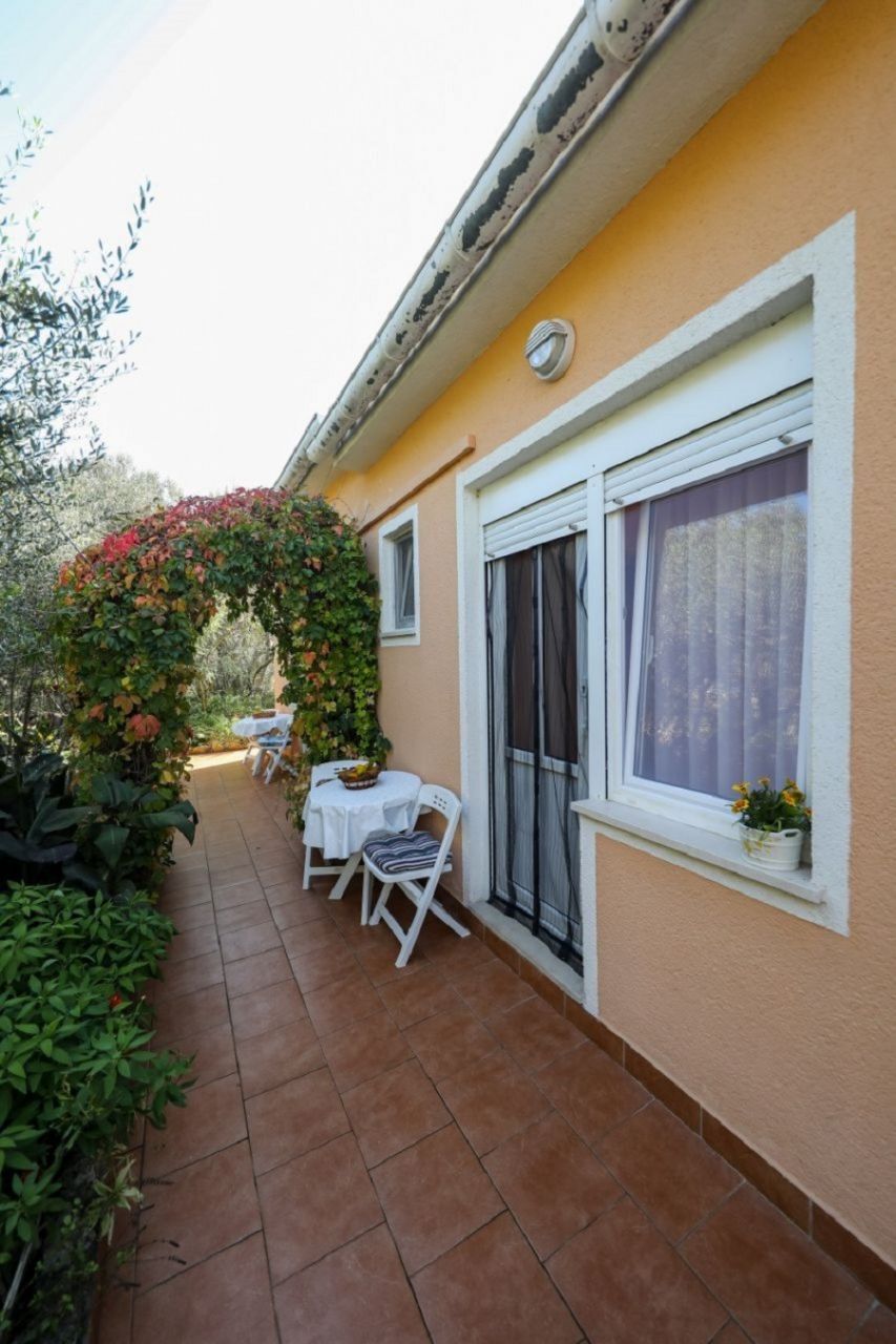 Apartments Tara 103901-A1
