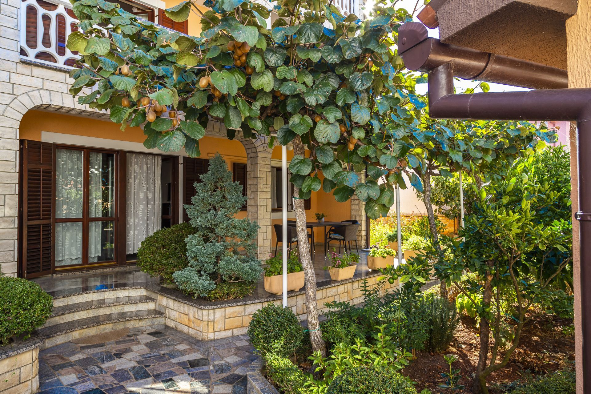 Photo of Apartments Mir