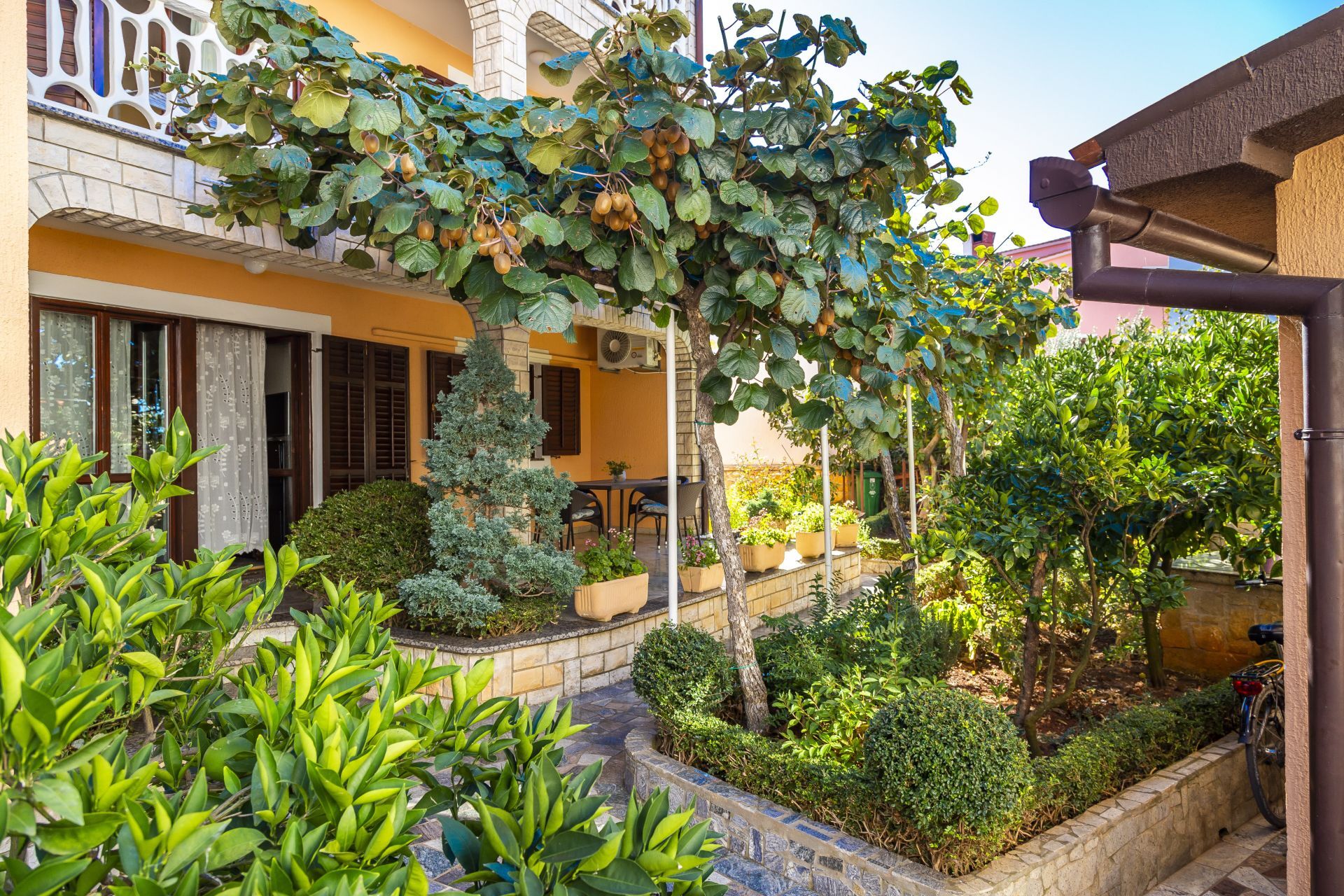 Photo of Apartments Mir