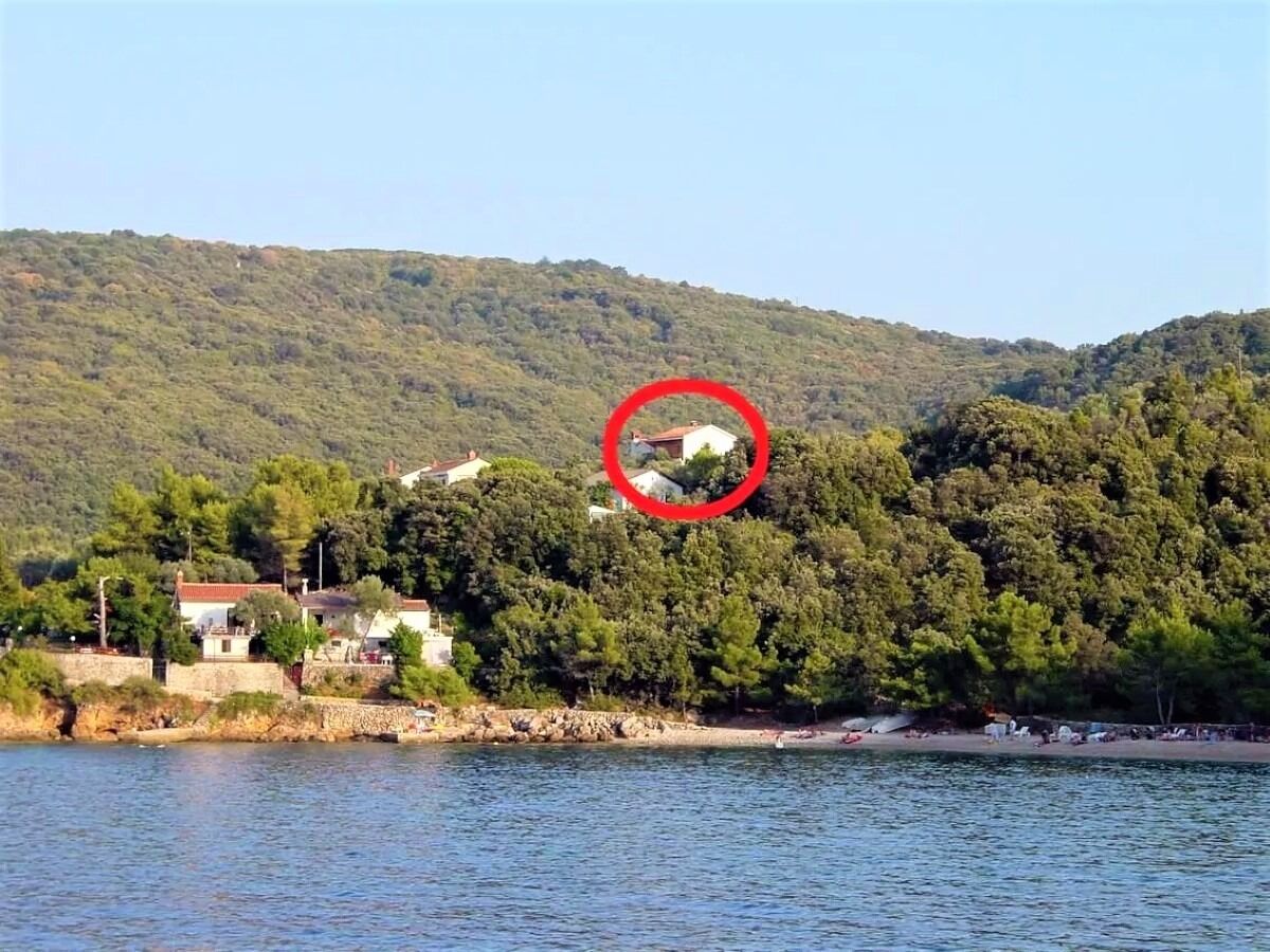 Apartman Griv A2