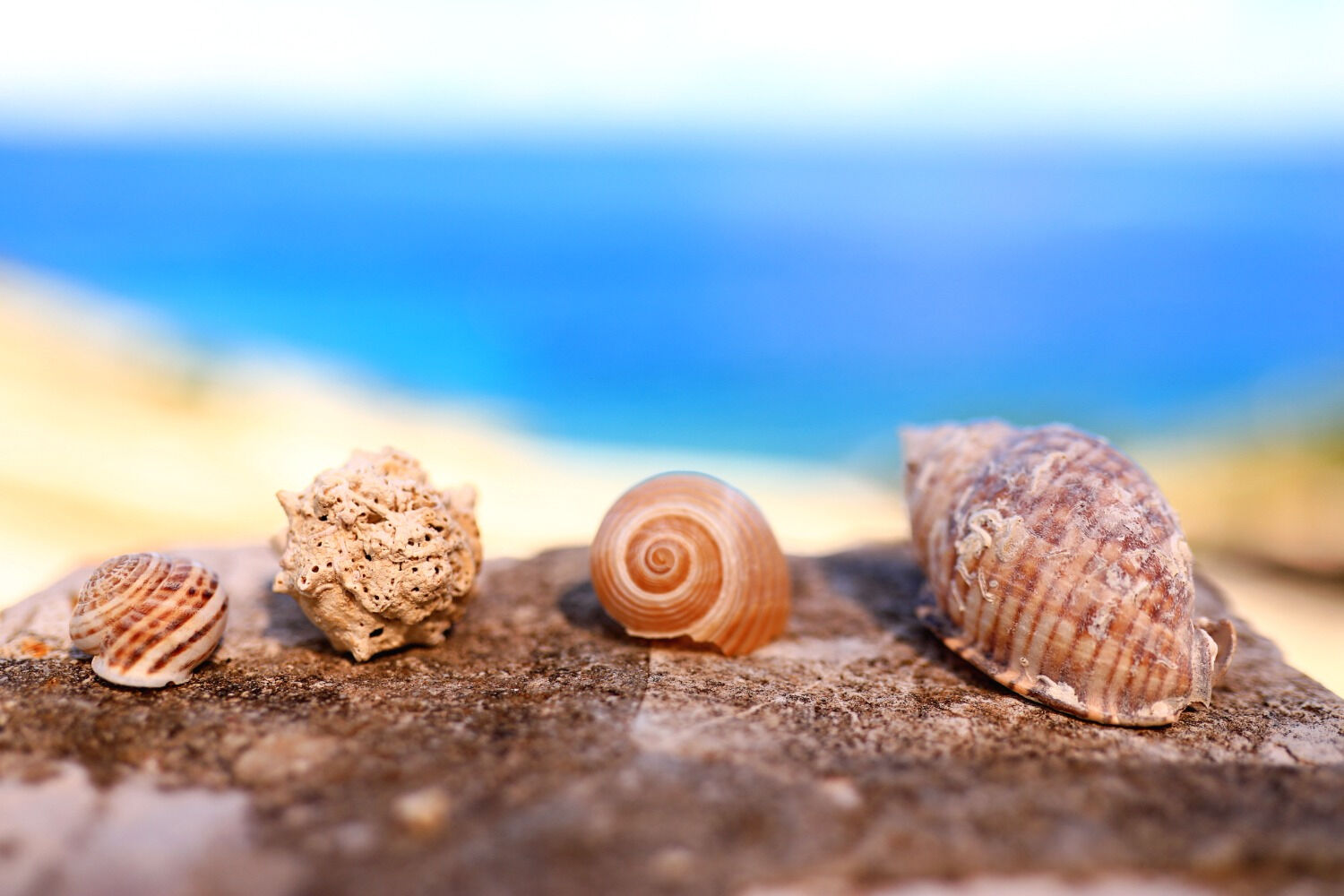 Photo of House Doria