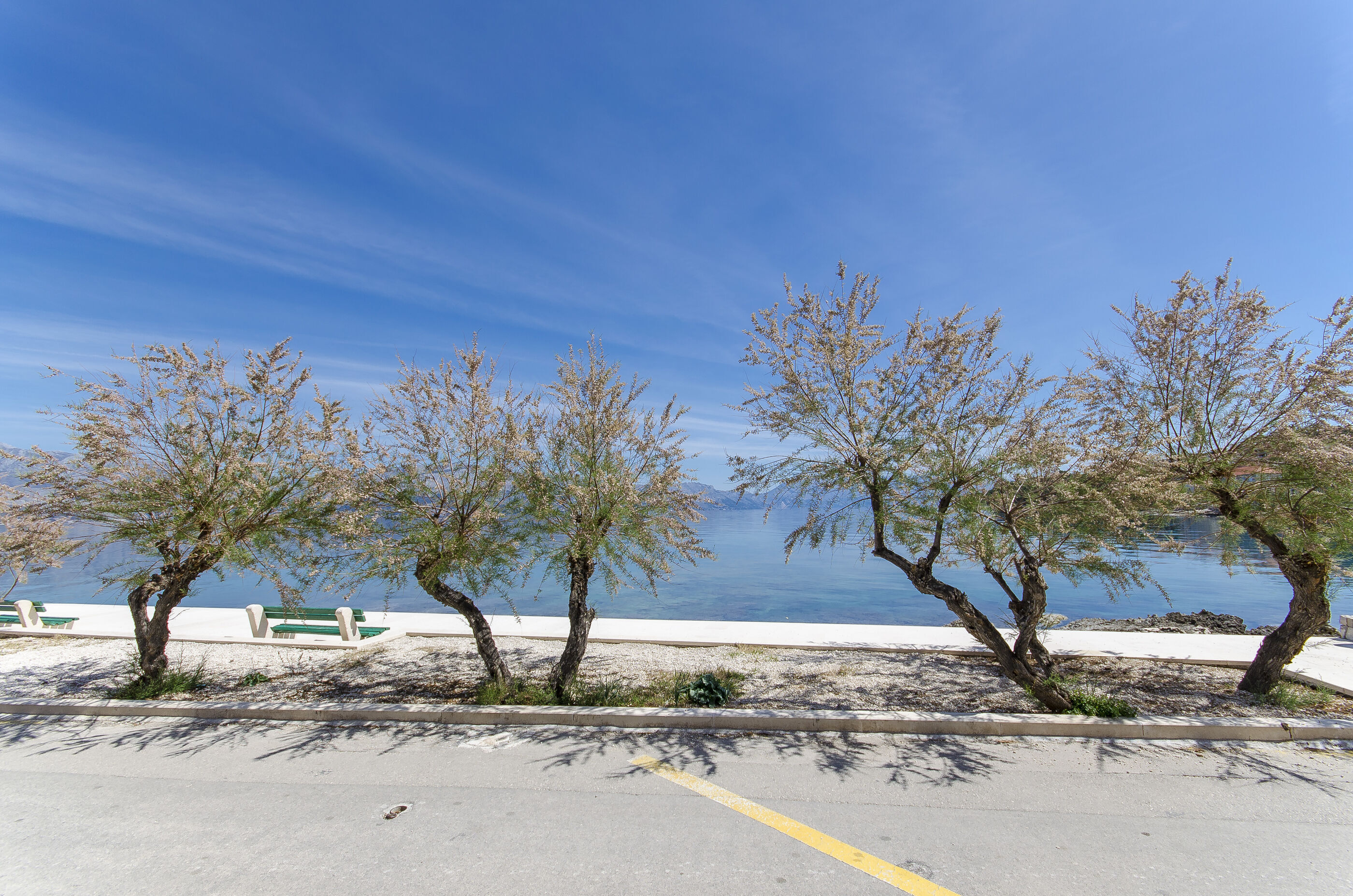 Apartment Sidro 103781-A1