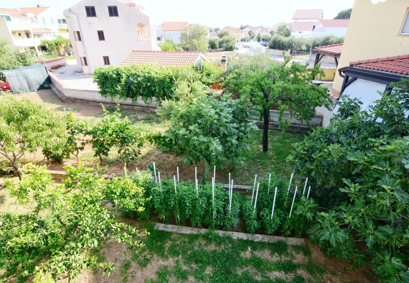 Apartments Snježa 104261-A2