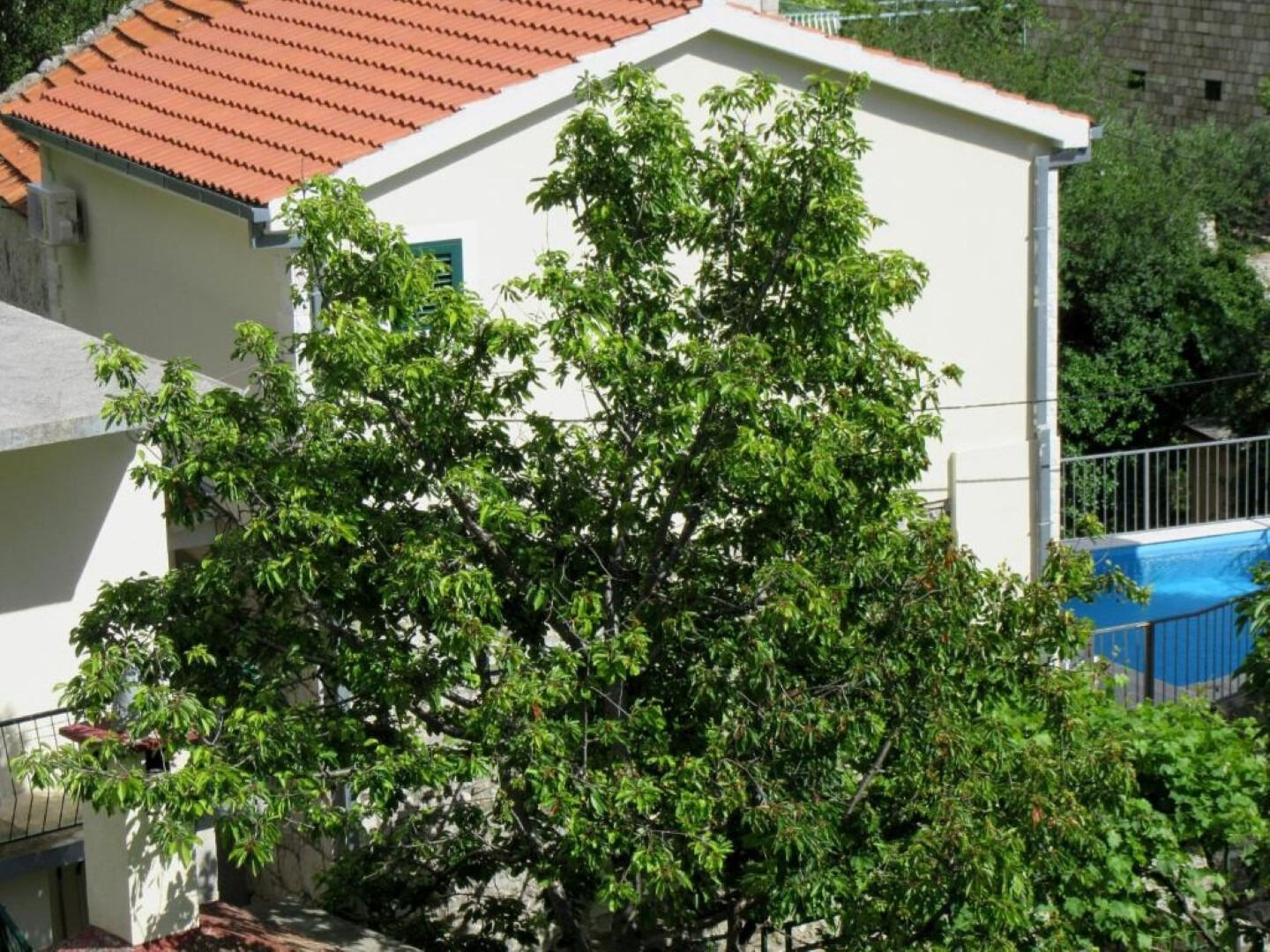 House Ned 10437-K1