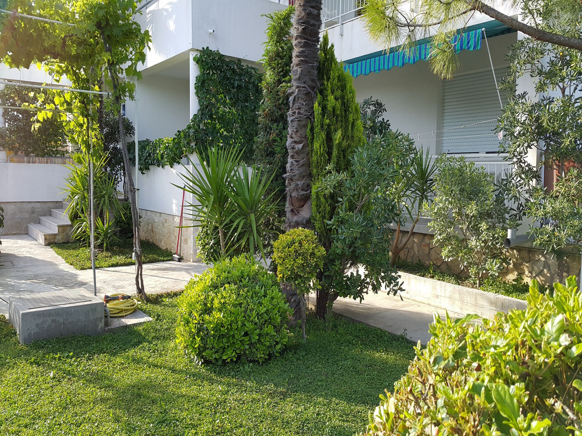 Apartment Beti 104331-A2
