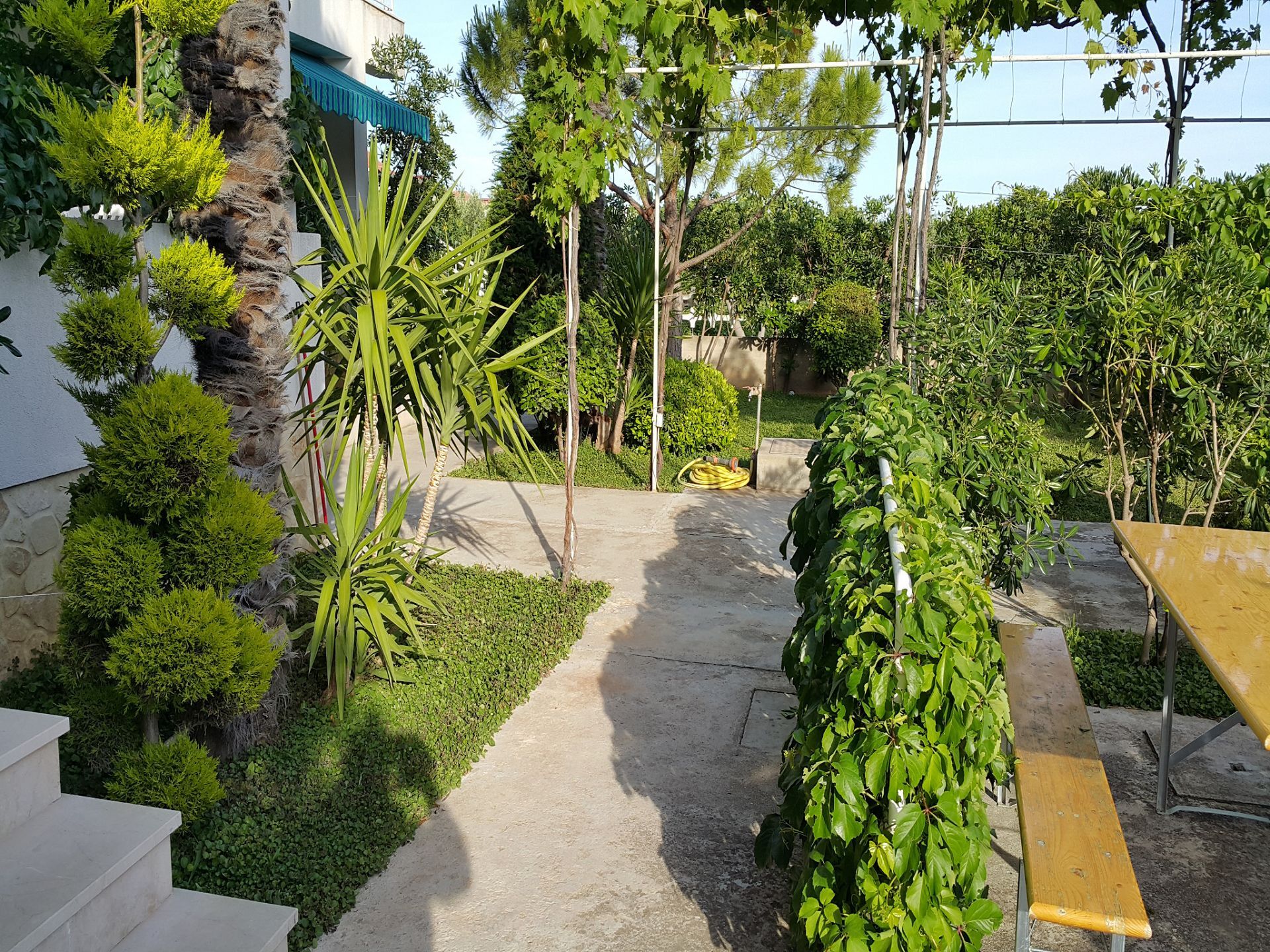 Apartment Beti 104331-A2
