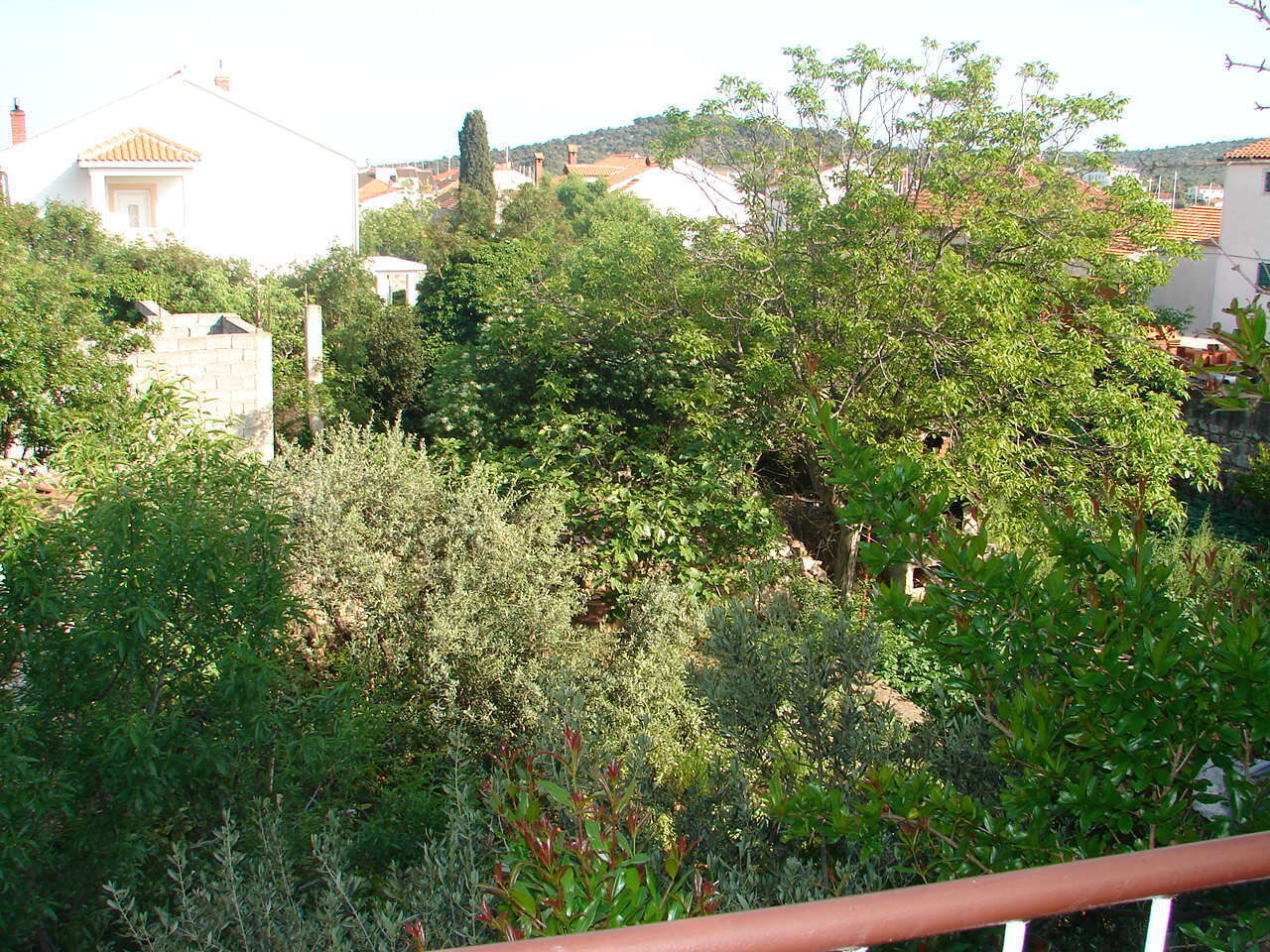 Apartments Dragan 104351-A2