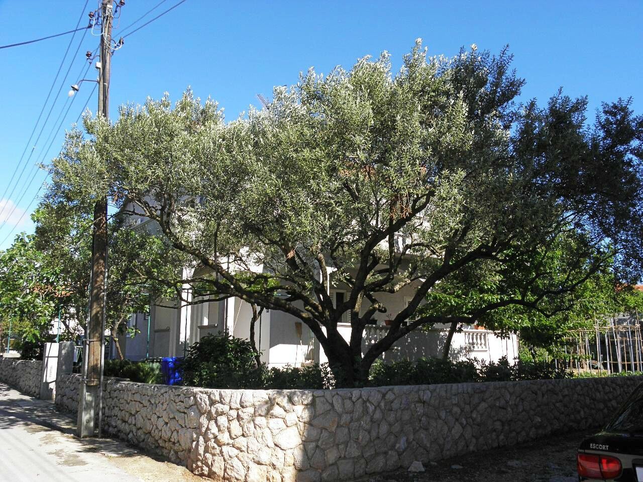 Apartment Ivan 104361-A2