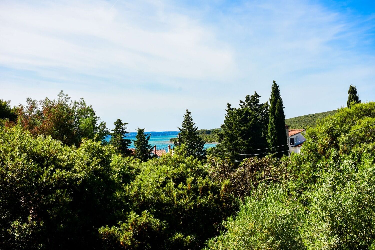 Apartments Zlatko 10444-A2