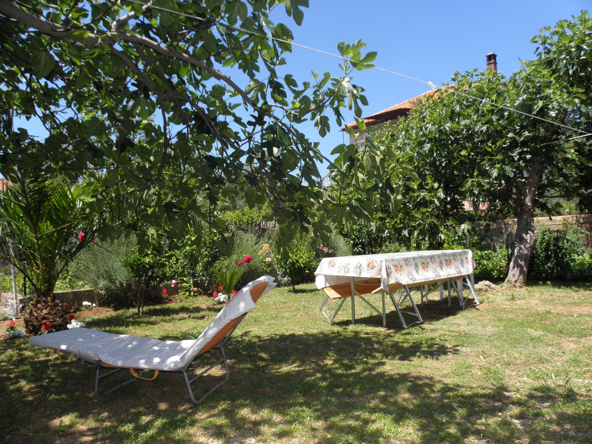 Apartments Zvone 10445-A1