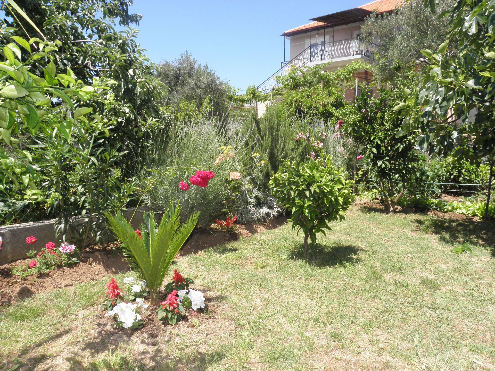 Apartments Zvone 10445-A1